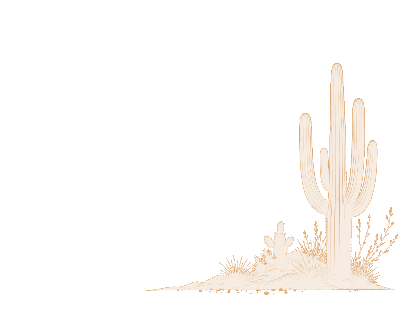 Desert cactus